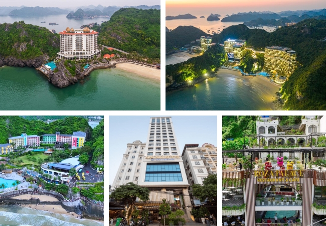 https://tourcatba.com.vn/thong-tin-moi-nhat-ve-cap-treo-cat-ba.html