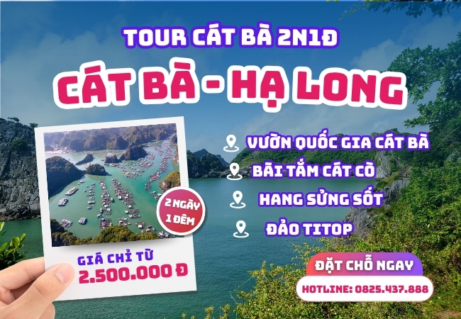 Tour Cát Bà 2N1Đ | Cát Bà - Hạ Long