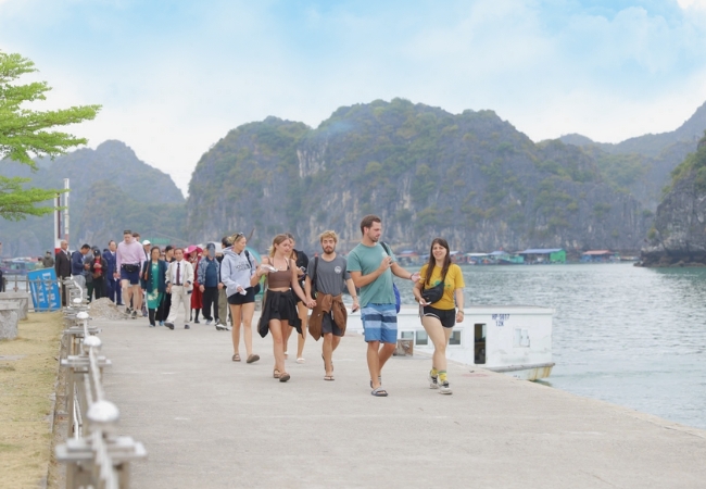 Tour Cát Bà 1 ngày trọn gói du thuyền 5 sao từ Hà Nội
