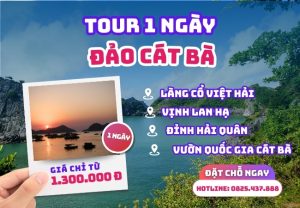 Tour Cát Bà 1 ngày | Việt Hải – Đỉnh Hải Quân – Vịnh Lan Hạ