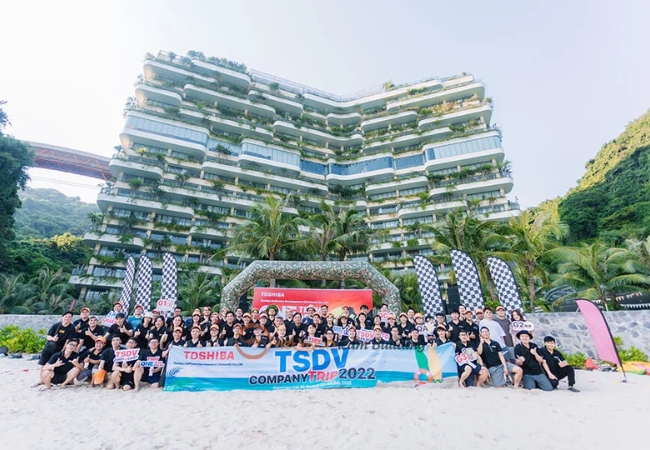 Team Building Cát Bà: Hành trình gắn kết và bứt phá